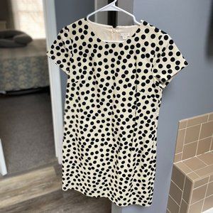 J. Crew Polka Dot Dress
